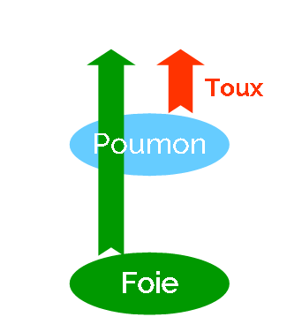 Un déséquilibre qui entraîne une toux cardiaque